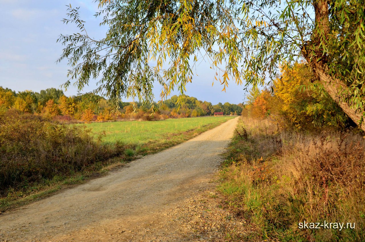 dorogi_skaz_kray